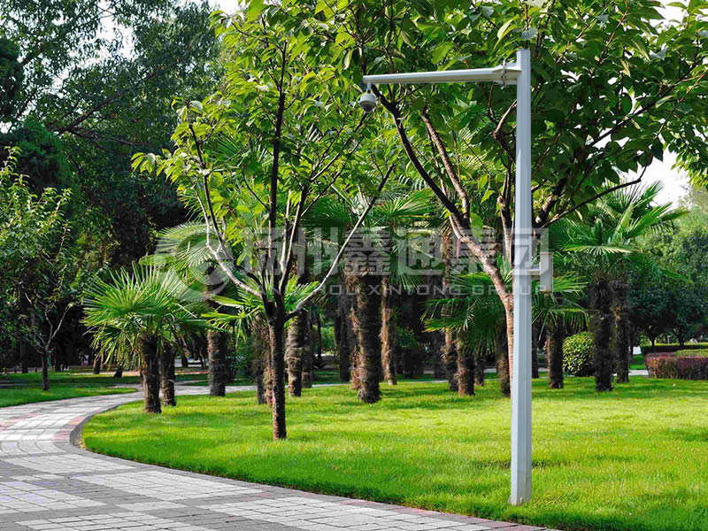 DJG-022，電子警察桿，八棱懸臂球機(jī)桿