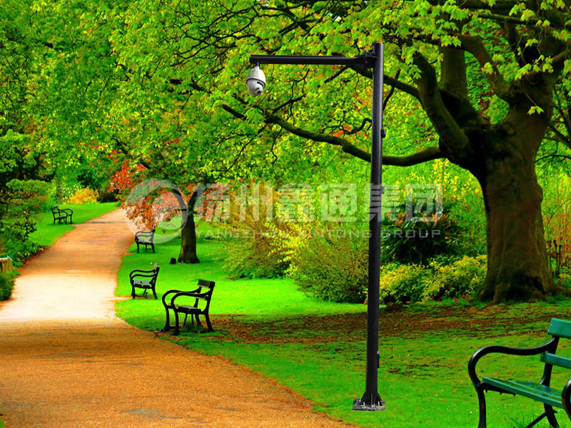 DJG-026，電子監(jiān)控桿，公園監(jiān)控桿